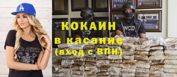 твердый Алзамай