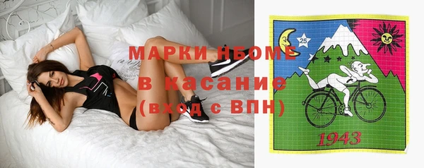 твердый Алзамай